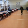 Krav Maga