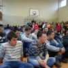 Koncert ARKADIO